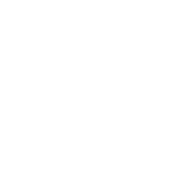 Brain Disorders