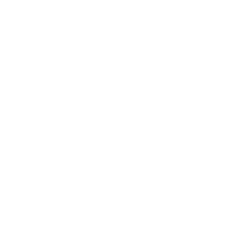 Neural Transmission